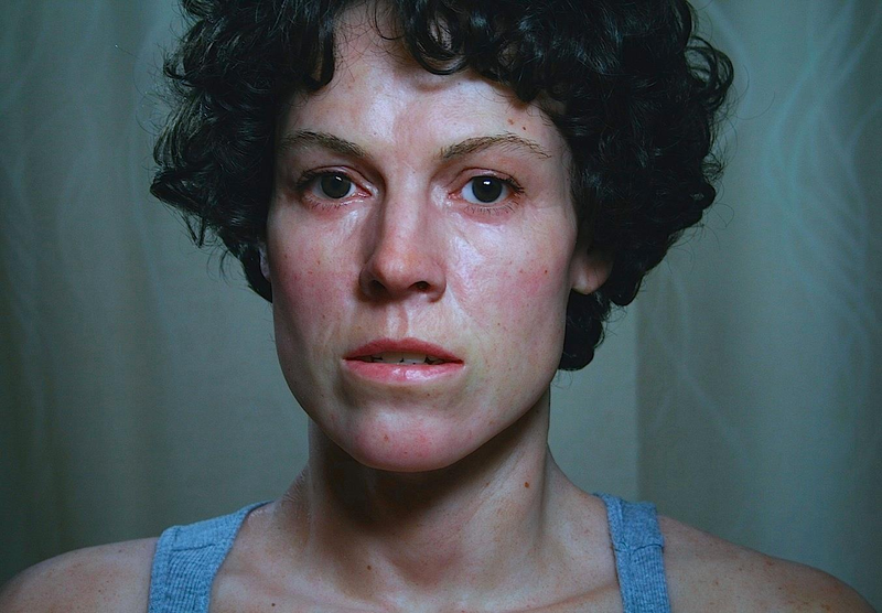Illustration for article titled You Will Not Believe What This Ripley is Made of